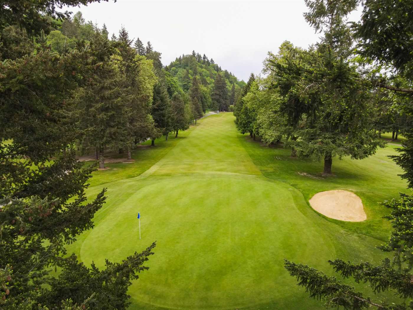 Greens at Maplewood Golf Course