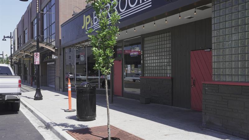 Added trees as part of downtown streetscapes project on Williams Ave.