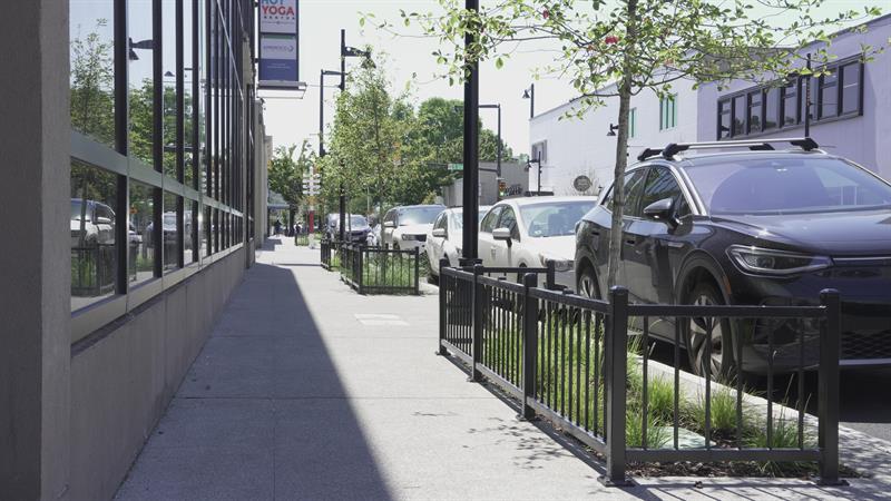 New planter boxes on Williams Ave.